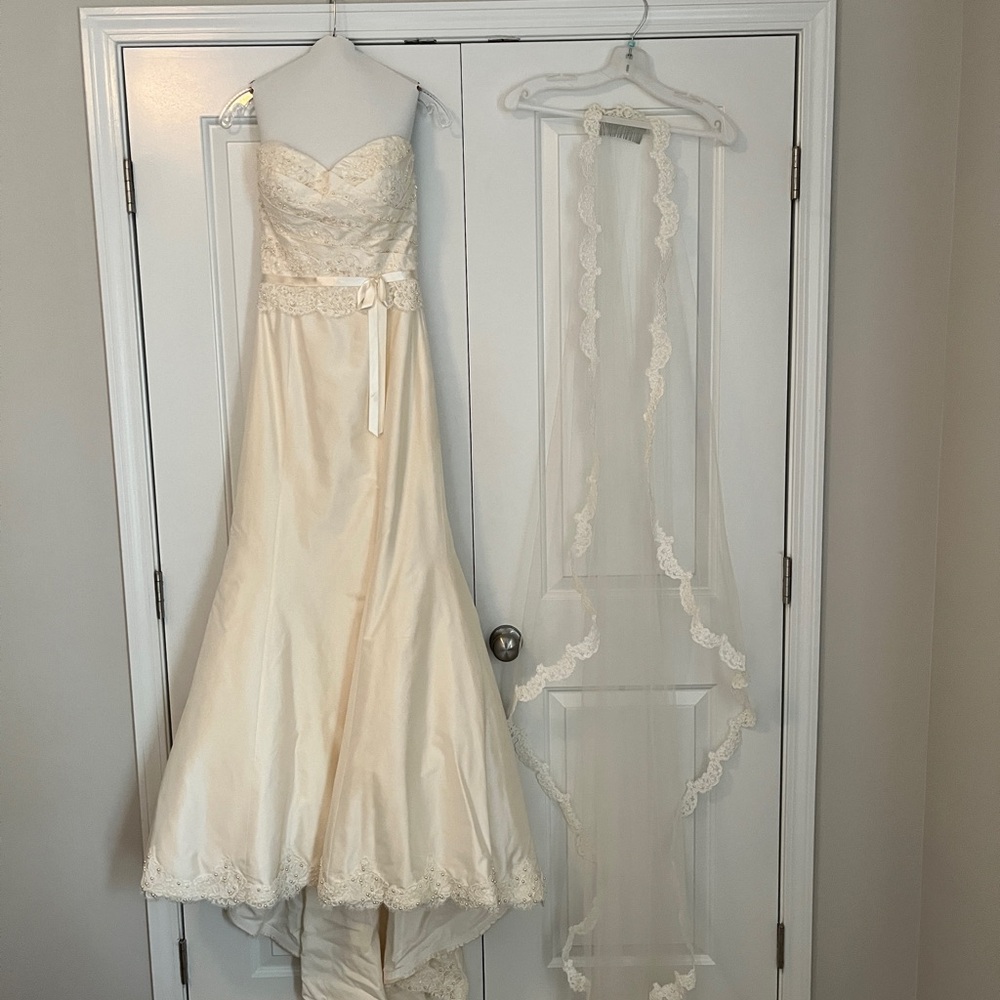 NEW/ NEVER WORN: Paloma Blanca Wedding Dress: style #CA05313 - Picture 2 of 15